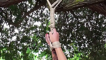 Outdoor Bdsm Scene With Severe Whipping And Stripping